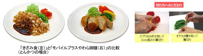 きざみ食とやわら御膳との対比